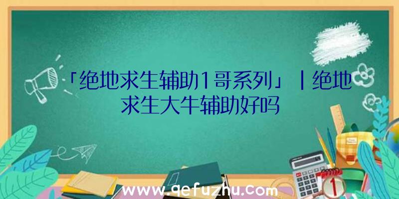 「绝地求生辅助1哥系列」|绝地求生大牛辅助好吗